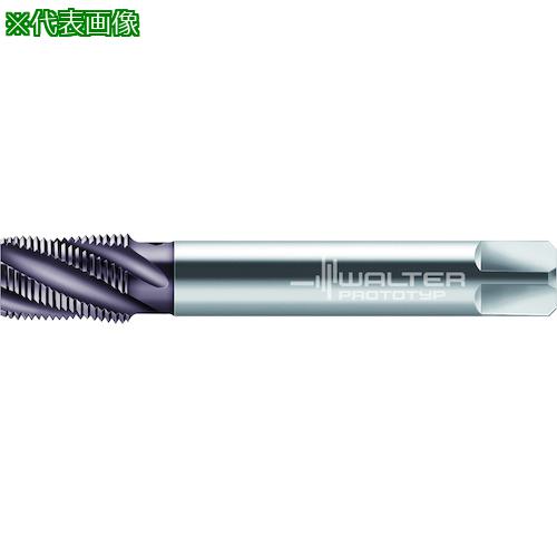 ■Prototyp HSS-E マシンタップ〔品番:2546706NPT1〕【4187882:0】[送料別途見積り][掲外取寄][店頭受取不可]
