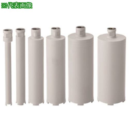 ■Hakken 乾式コアビット ドライワン Cロッド Φ56×260L C〔品番:DRY1C56260C〕【4209286:0】[送料別途見積り][法人・事業所限定][外直送][店頭受取不可]