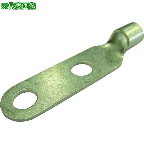 ■DST 裸圧着端子 二ツ穴端子 RD60-14 30個入り〔品番:RD6014〕【4219948:0】[送料別途見積り][掲外取寄][店頭受取不可]｜ホームセンターバロー　店