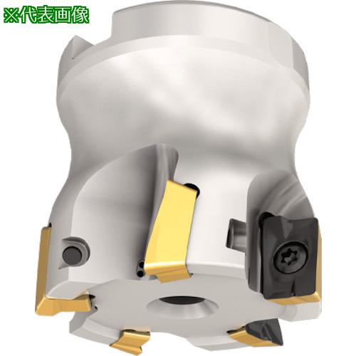 ■イスカル フェースミル〔品番:HM90F90AD063622JHP〕【4233365:0】[送料別途見積り][掲外取寄][店頭受取不可]