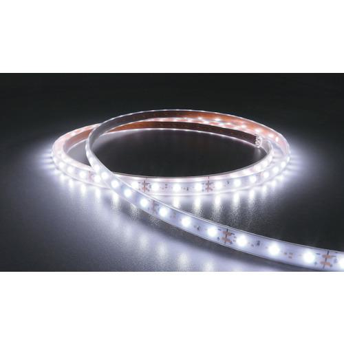 ■tlight LEDテープライト Viewdi Plus 16.6mmP 6500K 1m巻 ACアダプター付《10S入》〔品番:TLVD65216.6P1AD〕【4235390×10:0】[送料別途見積り][掲外取寄][店頭受取不可]