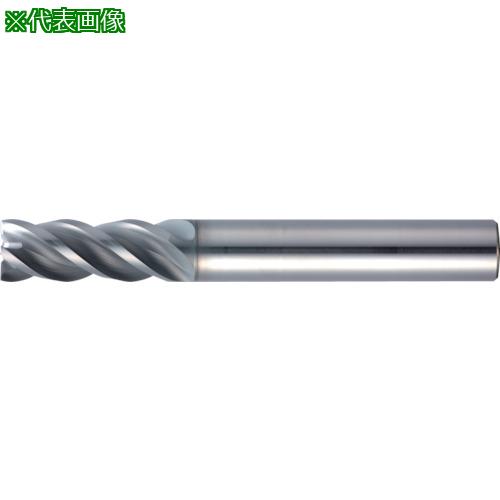■MOLDINO エポックSUSマルチEPSM4080-PN〔品番:EPSM4080PN〕【4242688:0】[店頭受取不可]｜ホームセンターバロー　店