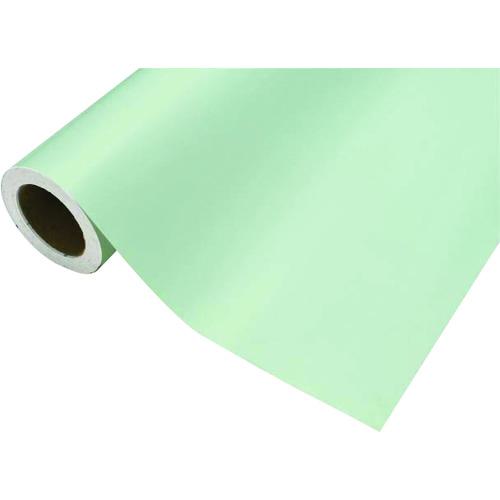 ■中川ケミカル カッティングシート484ミスティミント450mm×12M〔品番:CS045484R〕【4249805:0】[送料別途見積り][法人・事業所限定][外直送][店頭受取不可] 7,300円