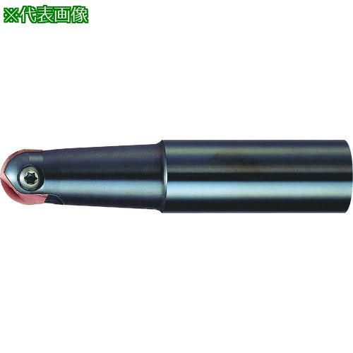 ■MOLDINO フライス工具 アルファ ボールプレシジョンF ABPF06S10〔品番:ABPF06S10〕【4279425:0】[店頭受取不可]