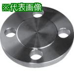 ■inoc 面座付ブラインドフランジ〔品番:304BDRF20K100A〕【4284684:0】[送料別途見積り][掲外取寄][店頭受取不可]