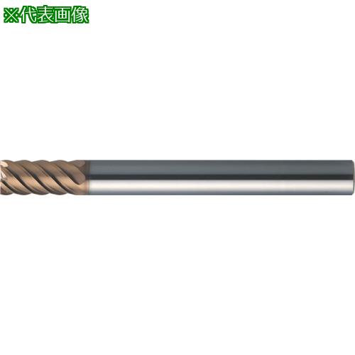 ■MOLDINO 超硬ラジアスエンドミル エポックTHハード ショート刃 CEPS6060-TH〔品番:CEPS6060TH〕【4284721:0】[店頭受取不可]｜ホームセンターバロー　店