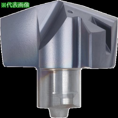 ■タンガロイ ドリル・マイスター 汎用ドリルヘッド DMP AH9130〔品番:DMP209〕【4331000:0】[送料別途見積り][掲外取寄][店頭受取不可]