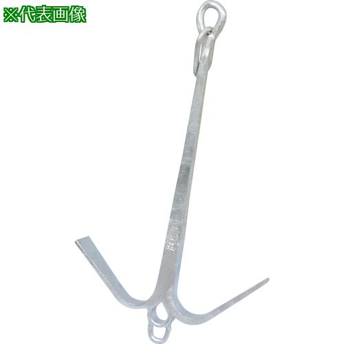 ■IWA 鉄製 唐人錨(碇)〔品番:54TJI10SS〕【4376142:0】[送料別途見積り][法人・事業所限定][外直送][店頭受取不可]