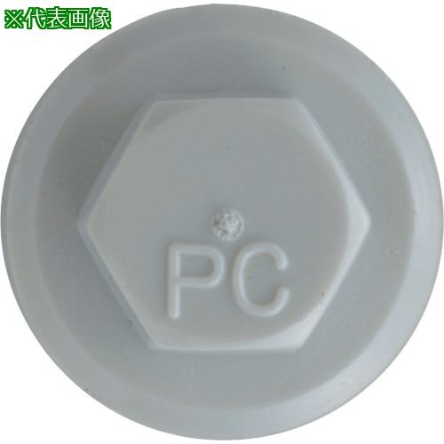 ■JPF プラカラー ライトグレー 6×25 ダクロ GY-55 (300本入り)〔品番:PC6X25GY55〕【4379468:0】[送料別途見積り][掲外取寄][店頭受取不可] 10,639円