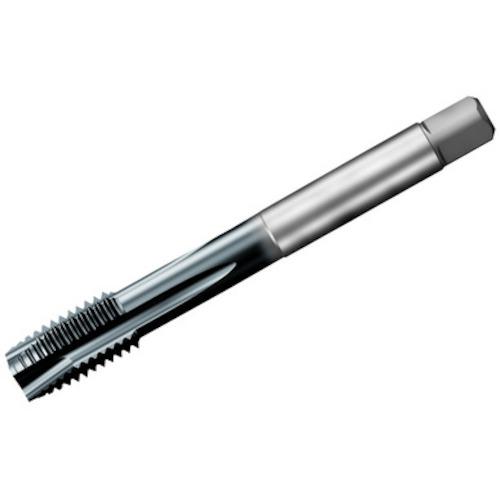 ■SANDVIK コロタップ200 ポイントタップ(780) D110〔品番:T200PD101AE58〕【4611649:0】[送料別途見積り][店頭受取不可]｜ホームセンターバロー　店