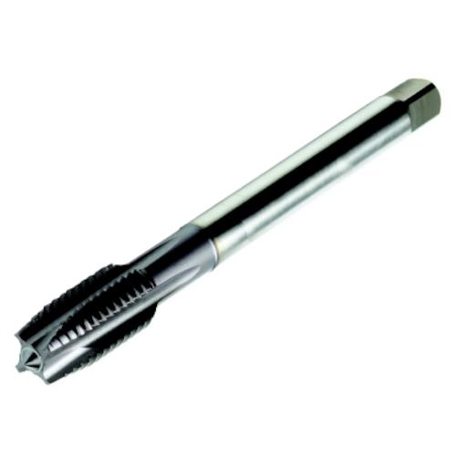 ■SANDVIK コロタップ200 ポイントタップ(780) B145〔品番:T200MM101DAM14〕【4613242:0】[送料別途見積り][掲外取寄][店頭受取不可]｜ホームセンターバロー　店