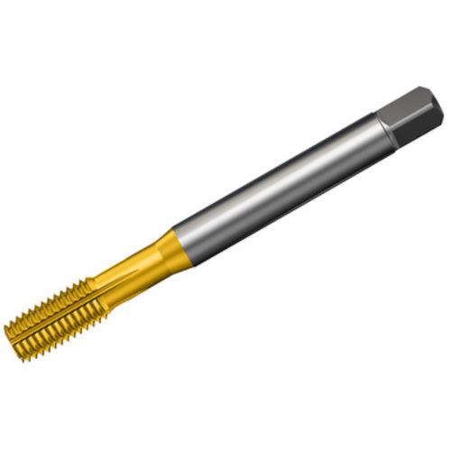 ■SANDVIK コロタップ400 転造タップ(781) B125〔品番:T400XM100DAM2.6〕【4614872:0】[送料別途見積り][掲外取寄][店頭受取不可]