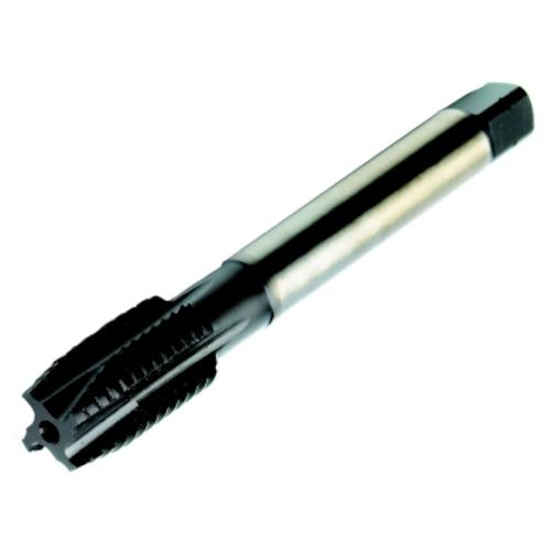 ■SANDVIK コロタップ200 ポイントタップ(780) C145〔品番:T200MM100IAM8〕【4616446:0】[送料別途見積り][店頭受取不可]