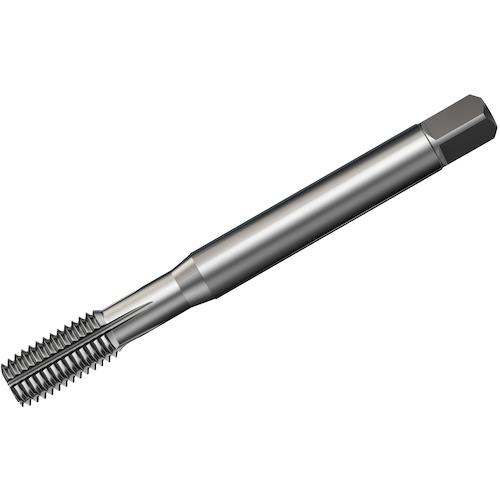 ■SANDVIK コロタップ400 転造タップ(781) C125〔品番:T400XM150AE1224〕【4617993:0】[送料別途見積り][店頭受取不可]