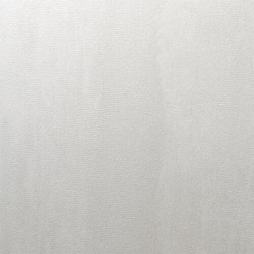 ■3M ダイノック フィルム AEシリーズ AE-2150〔品番:AE2150〕【4672456:0】[送料別途見積り][法人・事業所限定][掲外取寄][店頭受取不可]