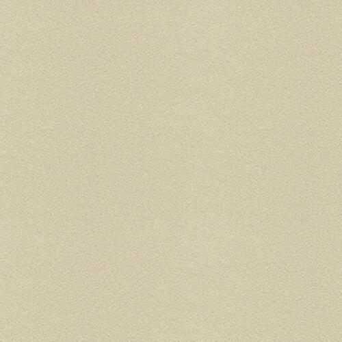 ■3M ダイノック フィルム ARシリーズ キズ防止フィルム PA-180AR〔品番:PA180AR〕【4674106:0】[送料別途見積り][法人・事業所限定][掲外取寄][店頭受取不可]｜ホームセンターバロー　店