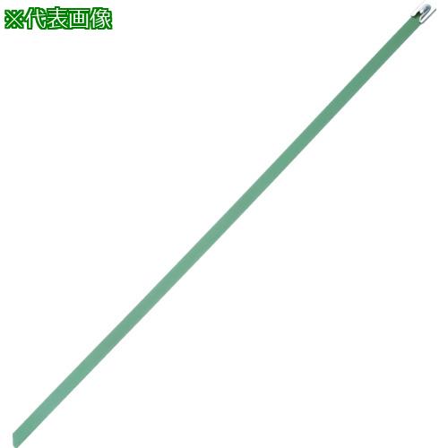 ■PANDUIT MLTタイプ フルコーティングステンレススチールバンド SUS316 緑 幅8.1mm 長さ363mm 50本入り MLTFC4H-LP316GR〔品番:MLTFC4HLP316GR〕【4774841:0】[店頭受取不可]