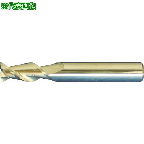 ■【在庫限り】MAPAL 超硬スクエアエンドミル Opti-Mill(SCM260J) 2枚刃アルミ用 刃径10mm 刃長24mm 全長72mm シャンク径10mm〔品番:SCM260J1000Z02RSHAHU211〕【4870221:0】[店頭受取不可] の商品写真