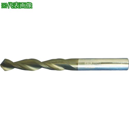 ■MAPAL MEGA-Drill-Composite(SCD250)外部給油X5D〔品番:SCD250030022090HA05HC619〕【4909135:0】[店頭受取不可]｜ホームセンターバロー　店