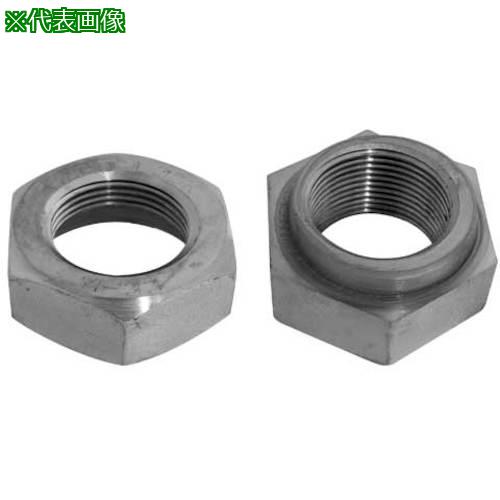 ■SUNCO 三価ホワイト ハ-ドロックナット セミ薄 細目 M45X4.0 (1本入)〔品番:N00080240450000003〕【4970904:0】[送料別途見積り][掲外取寄][店頭受取不可]｜ホームセンターバロー　店