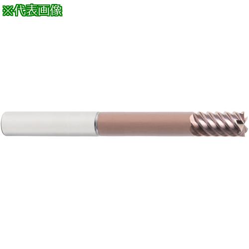 ■MAPAL ショルダーミーリングカッター ネック付エクストラロングタイプ SCM124〔品番:SCM1241000Z06RR0050HAHP808〕【5002011:0】[送料別途見積り][法人・事業所限定][掲外取寄][店頭受取不可]｜ホームセンターバロー　店