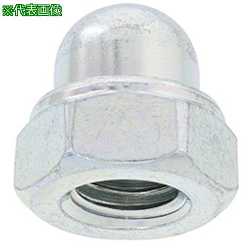 ■SUNCO 三価ホワイト E-LOCKナット CAP付六角 M10 (250本入)〔品番:N00012C00100000003〕【5002872:0】[送料別途見積り][掲外取寄][店頭受取不可]