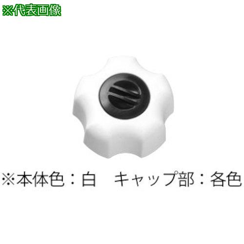 超ワイドモンキレンチ×北斗の拳|最強共同研究がここに現実化！