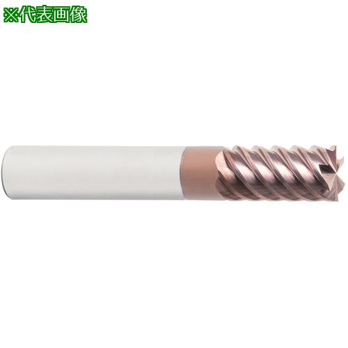 ■MAPAL ショルダーミーリングカッター 2XD SCM104〔品番:SCM1040600Z06RR0100HA2HP808〕【5034209:0】[送料別途見積り][法人・事業所限定][掲外取寄][店頭受取不可]