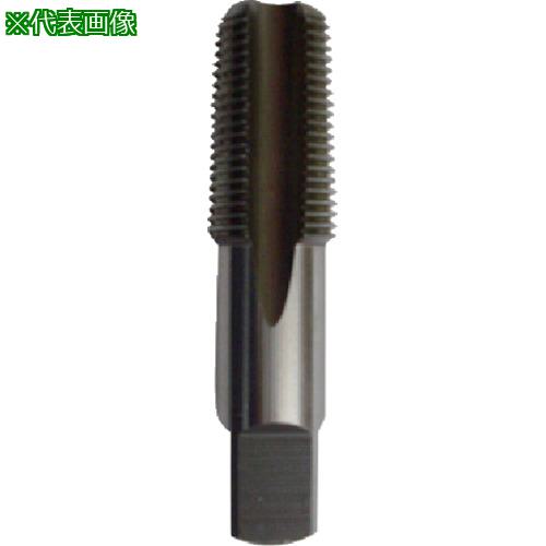 ■ISF HSS 管用平行タップ 3/4PF〔品番:ISHPF034〕【5036470:0】[送料別途見積り][掲外取寄][店頭受取不可]