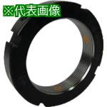 ■EVN ロックナット EPT 直角度0.005 M120×2〔品番:EPT120N5M120X2〕【5143365:0】[送料別途見積り][法人・事業所限定][店頭受取不可]