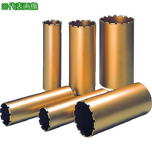 ■DIAMOND Aロット一本物コアビット 260mm〔品番:6CD4140〕【5162581:0】[送料別途見積り][法人・事業所限定][直送][店頭受取不可]｜ホームセンターバロー　店
