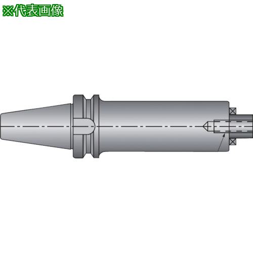 ■イスカル フェースミルホルダー BT-SEM〔品番:BT50SEM22X64X320〕【5165792:0】[送料別途見積り][法人・事業所限定][掲外取寄][店頭受取不可] 53,460円