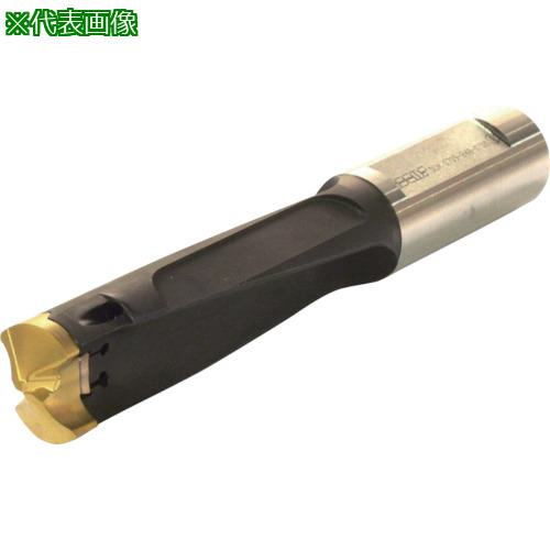 ■イスカル カムドリル ヘッド交換式ドリルホルダ DCM-3.5D〔品番:DCM14505015B3.5D〕【5166870:0】[送料別途見積り][法人・事業所限定][掲外取寄][店頭受取不可]｜ホームセンターバロー　店
