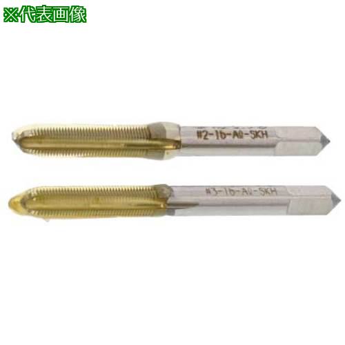 ■SUNCO Eサート(2本組タップ (中・上) M12&times;1.75 (1本入り)〔品番:N000TV0001200000001P〕【5172712:0】[送料別途見積り][掲外取寄][店頭受取不可]｜ホームセンターバロー　店