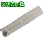 ■イスカル ヘリ6フィード 高送り加工用エンドミル FFEWX〔品番:FFEWXD253120W2505〕【5176999:0】[送料別途見積り][法人・事業所限定][掲外取寄][店頭受取不可]｜ホームセンターバロー　店