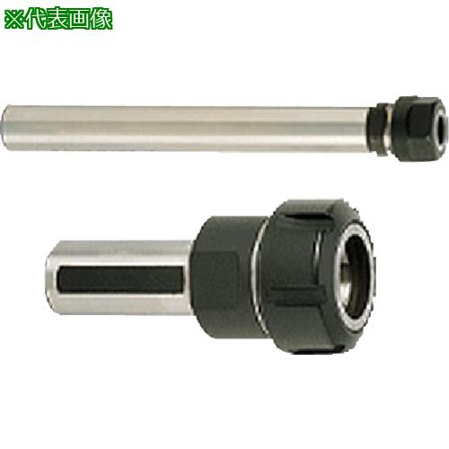 ■イスカル ストレートシャンク ST-ER〔品番:ST20X100ER25F〕【5215447:0】[送料別途見積り][法人・事業所限定][掲外取寄][店頭受取不可]｜ホームセンターバロー　店