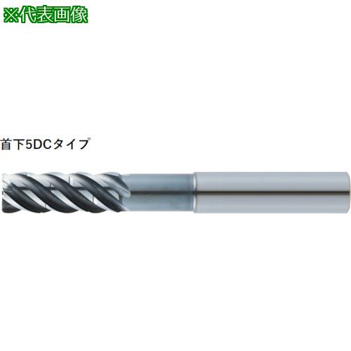 ■MOLDINO 高能率側面切削用エンドミル〔品番:ER5HS1680PN〕【5232753:0】[送料別途見積り][掲外取寄][店頭受取不可]｜ホームセンターバロー　店