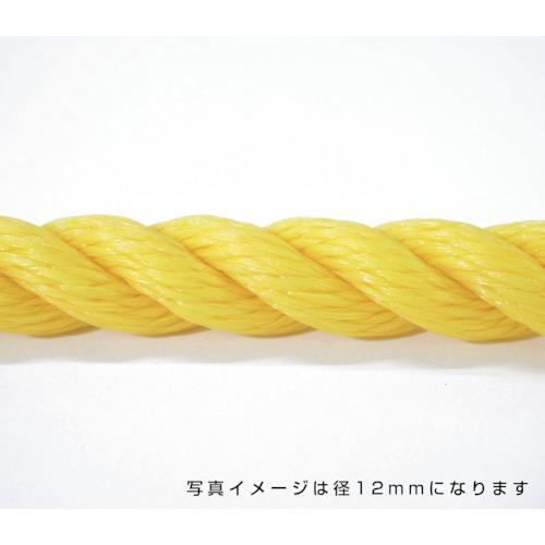 ■グリーンクロス ポリエチレンロープ 黄 10mm 100m巻〔品番:6300040576〕【5301664:0】[送料別途見積り][法人・事業所限定][外直送][店頭受取不可]