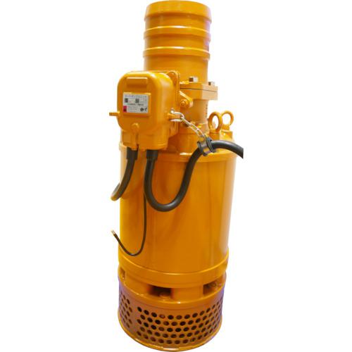 ■桜川 一般工事用水中ポンプ 自動 200V 50HZ〔品番:RAU4158A50HZ〕【5350355:0】[送料別途見積り][法人・事業所限定][直送][店頭受取不可]｜ホームセンターバロー　店