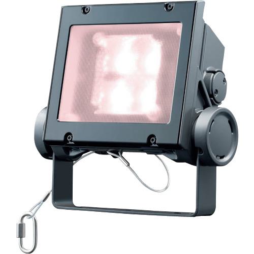 ■岩崎 LED投光器(20クラス、広角タイプ、白色タイプ)〔品番:ECF2040WVWSAN8DG〕【5356323:0】[送料別途見積り][掲外取寄][店頭受取不可]