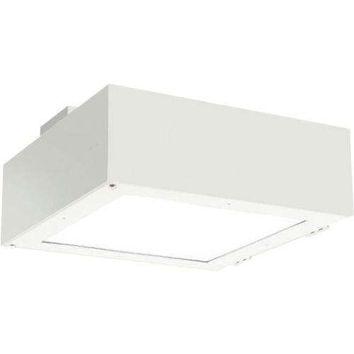 ■岩崎 サービスステーション用照明器具〔品番:ESD08121ANSAN2〕【5369052:0】[送料別途見積り][掲外取寄][店頭受取不可]