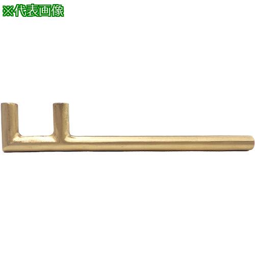 ■PROMOTE 防爆 丸型バルブハンドル 350MM〔品番:BBH350R〕【5385572:0】[送料別途見積り][掲外取寄][店頭受取不可] 18,900円