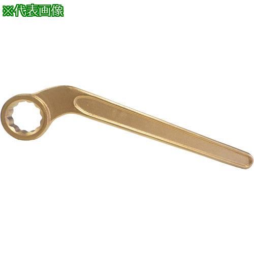 ■PROMOTE 防爆 片口メガネ 21MM〔品番:BRS21〕【5387059:0】[送料別途見積り][掲外取寄][店頭受取不可]｜ホームセンターバロー　店