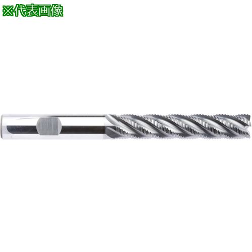 ■MAPAL ソリッドエンドミル 5枚刃 ファインピッチ〔品番:SCM9001200Z05RF0060HB5HP723〕【5397829:0】[送料別途見積り][法人・事業所限定][掲外取寄][店頭受取不可]