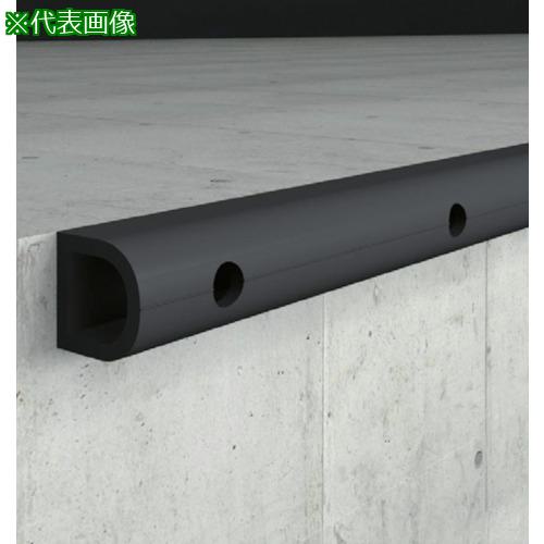 ■ナカ工業 カーストッパーNCD-1010 L2000〔品番:NCD1010L2000〕【5547183:0】[送料別途見積り][法人・事業所限定][直送][店頭受取不可]｜ホームセンターバロー　店