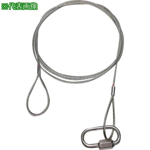 ■共成 落下防止ステンレスワイヤー線径3mm(10本セット)1050L〔品番:3105010S〕【5603089:0】[法人・事業所限定][直送元][店頭受取不可]