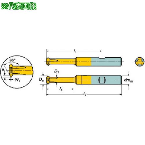 ■SANDVIK コロミル326ソリッドエンドミル(730) 1025〔品番:326R06B2502006CH〕【5607337:0】[送料別途見積り][掲外取寄][店頭受取不可]