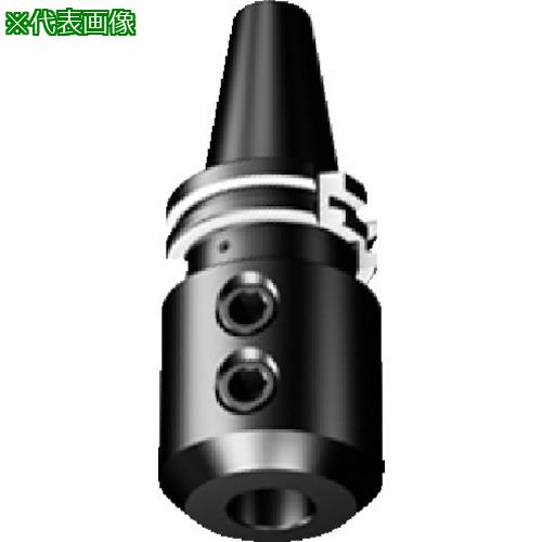 ■SANDVIK フェースミルホルダ(530)〔品番:392.555233020065〕【5612080:0】[送料別途見積り][掲外取寄][店頭受取不可] 31,889円