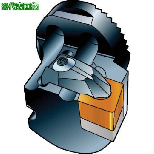 ■SANDVIK コロターンSL コロターンRC用カッティングヘッド(410)〔品番:570DCLNL4016L〕【5632544:0】[送料別途見積り][掲外取寄][店頭受取不可]｜ホームセンターバロー　店