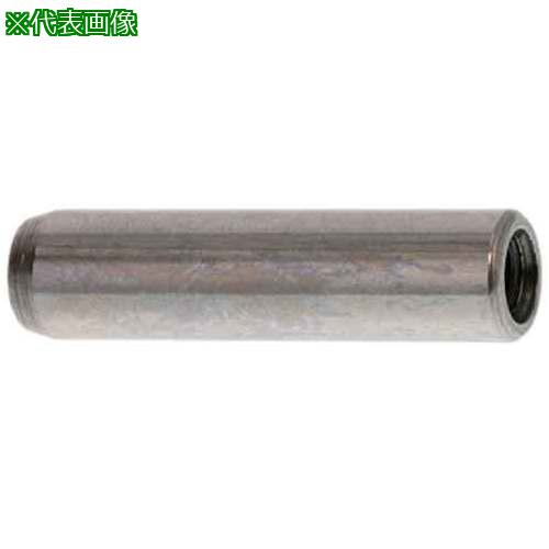 ■SUNCO SUS440C 内ネジ付きダウエルピン 8 X 20 (100本入)〔品番:D053D0010080020000〕【5647021:0】[送料別途見積り][掲外取寄][店頭受取不可]